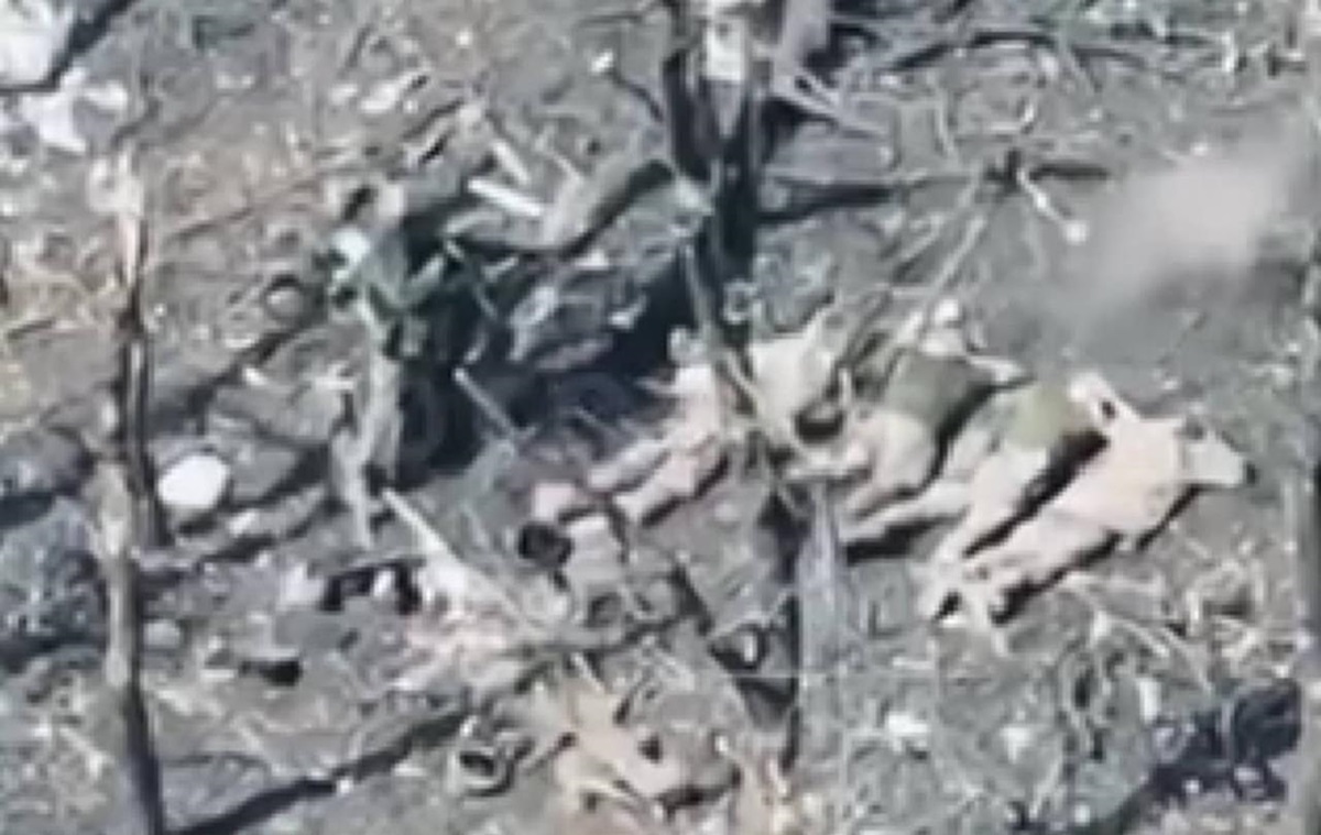 Новини України - Росіяни розстріляли п’ятьох полонених бійців ЗСУ