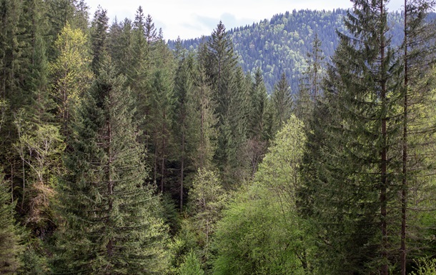 Новини України - До суду скерували справу щодо незаконної передачі землі у Мигово