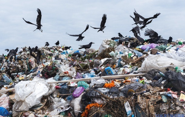 Технології - Вчені оцінили обсяг сміття, що викидається на Землі щороку