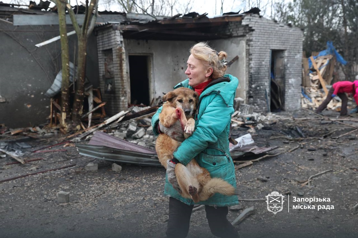 Росіяни вдарили по собачому притулку у Запоріжжі